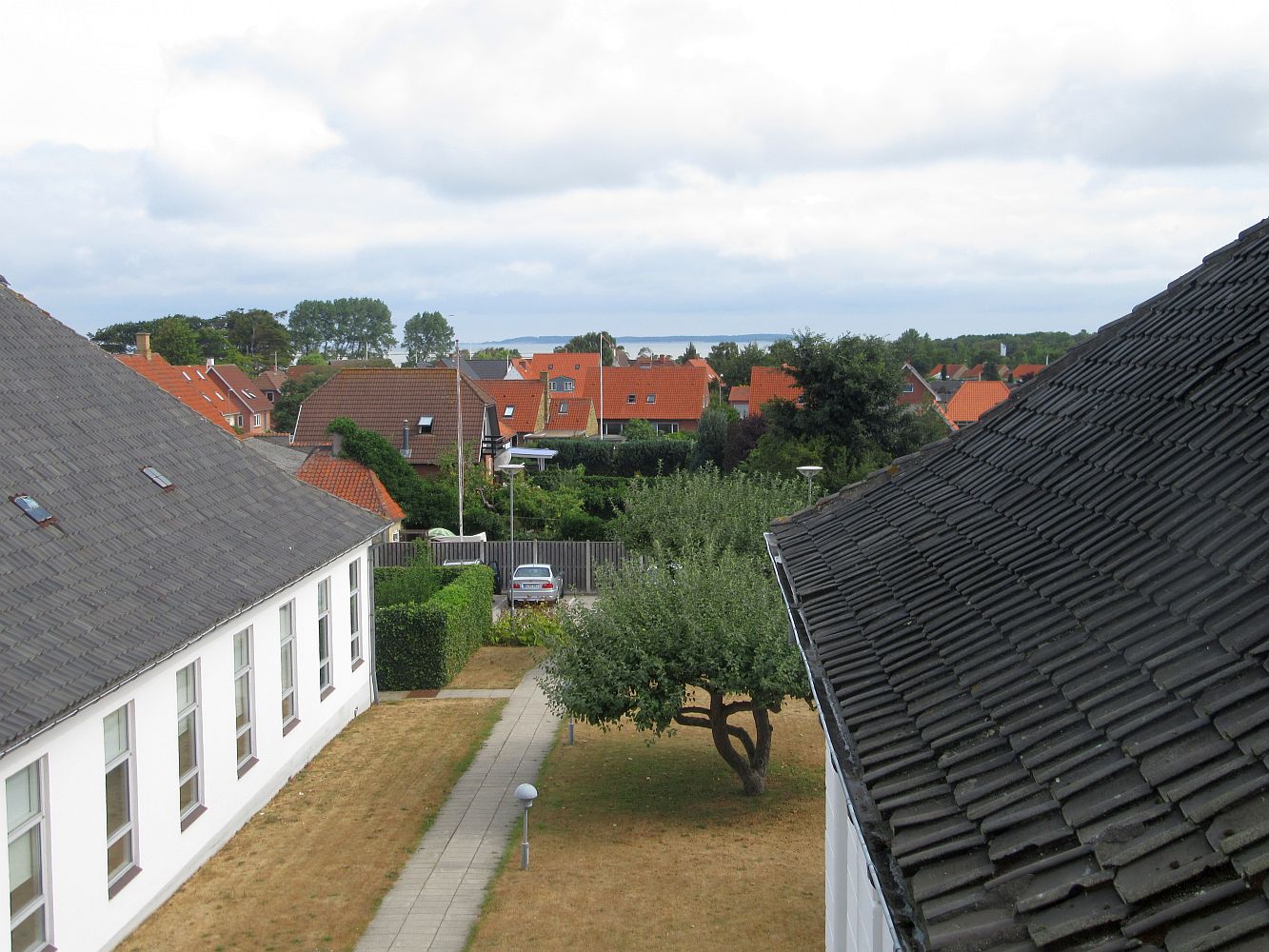 roser2018_18.jpg