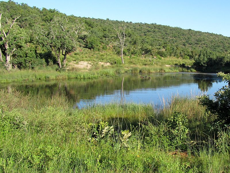 2020_matswani