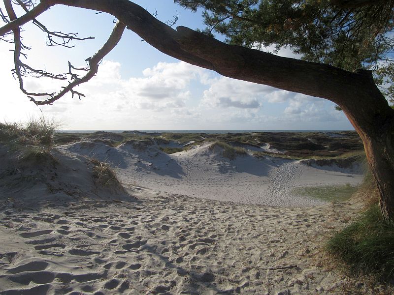 Bornholm2020