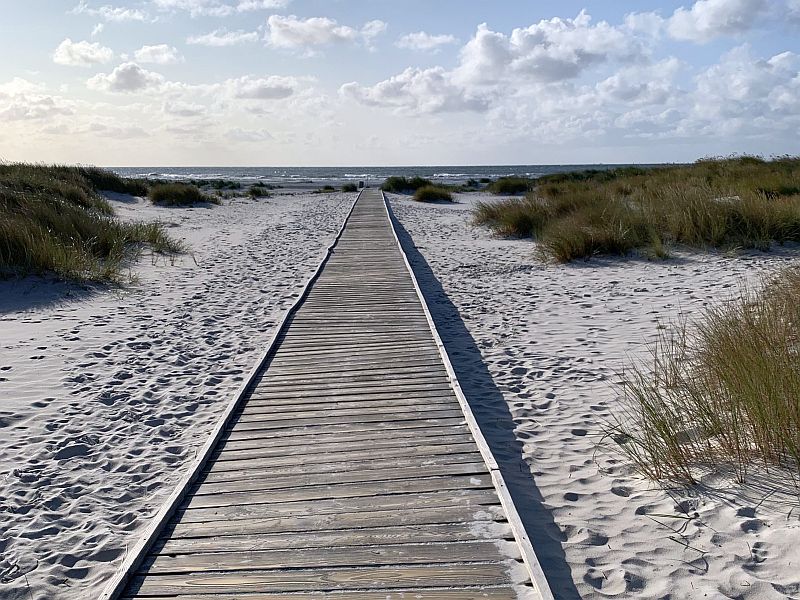 Bornholm2020