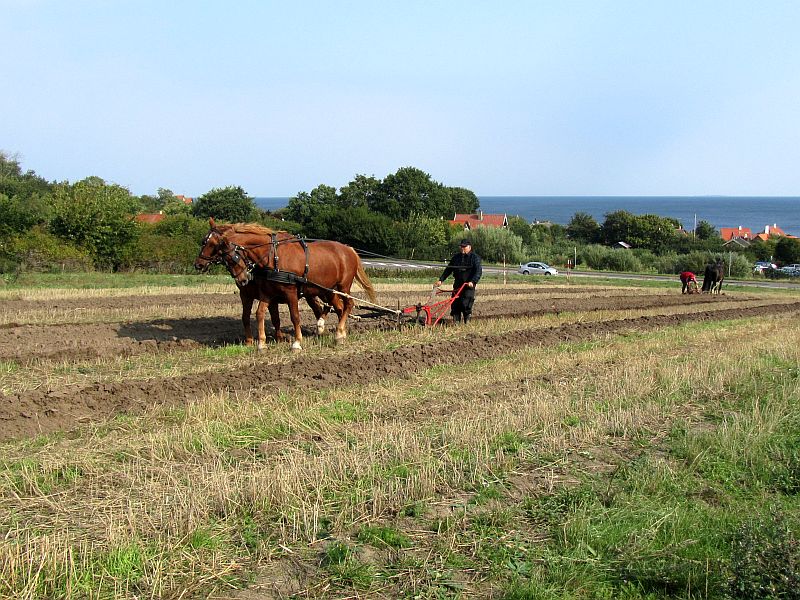 Bornholm2020
