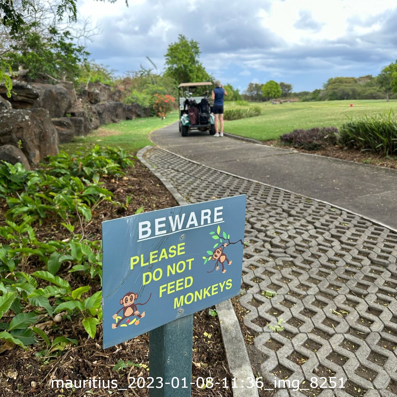 mauritius_2023-01-08-1136_img_8251