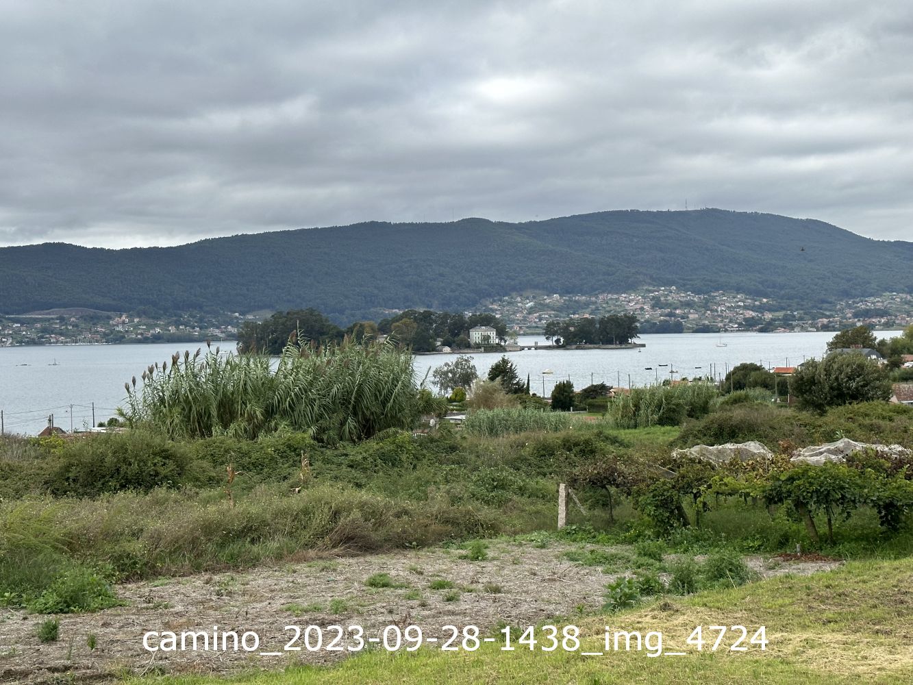 camino_2023-09-28-1438_img_4724