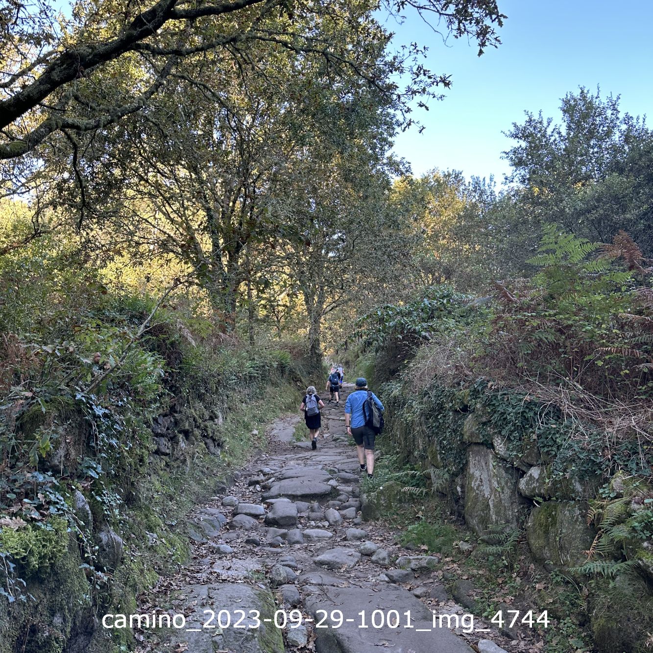 camino_2023-09-29-1001_img_4744