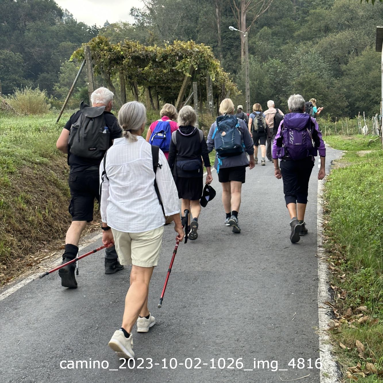 camino_2023-10-02-1026_img_4816