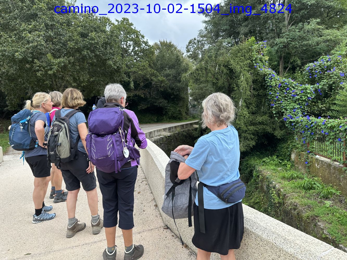 camino_2023-10-02-1504_img_4824