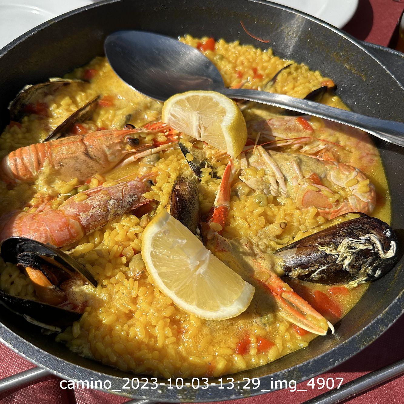 camino_2023-10-03-1329_img_4907