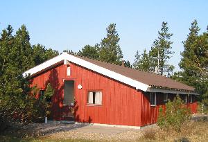 Lommen 6