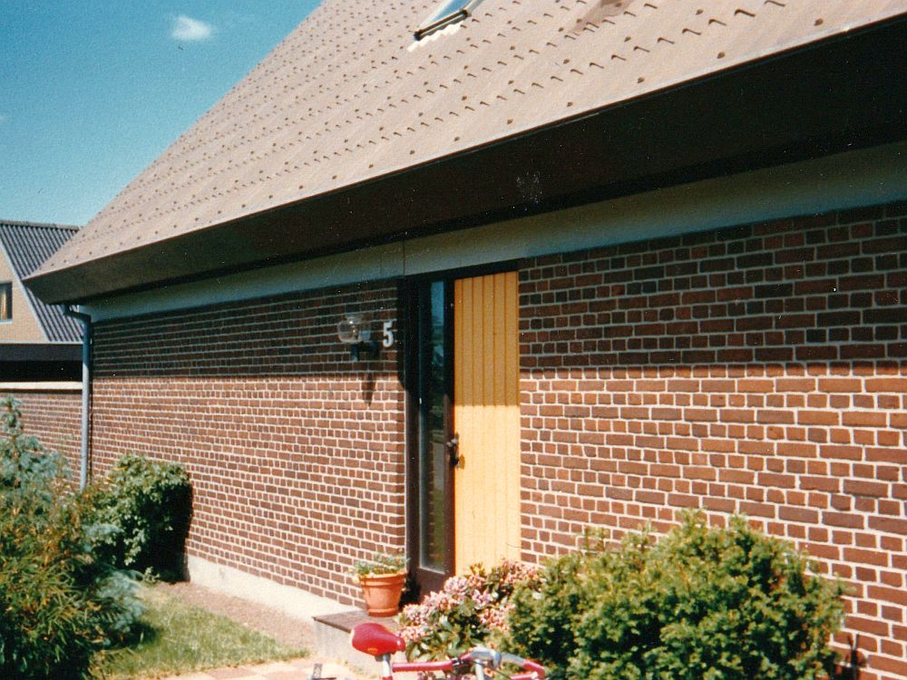 gule_hus_01