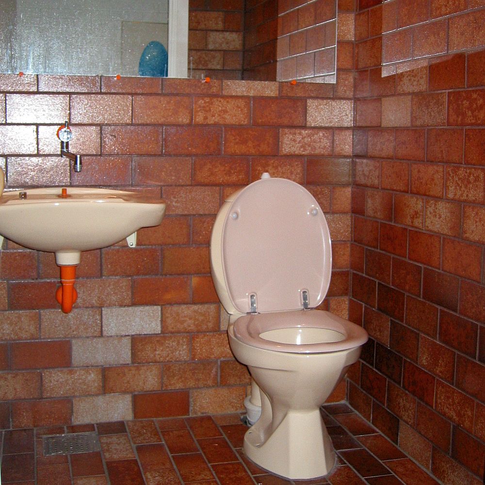 rav5_toilet_2002_01.jpg